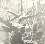 Agalloch The Mantle Deluxe Edition 2nd Pressing 2 X Clear with Black Smoke Vinyl Lp