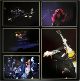 Kiss Live Evil