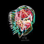 All Them Witches Nothing As The Ideal  Clear Vinyl
