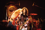 Led Zeppelin by Led Zeppelin Hardbound Book