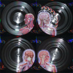 Tool Lateralus (Picture Disc Vinyl, Kinda) 2X Vinyl Lp's