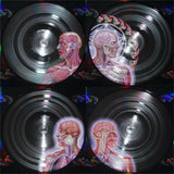 Tool Lateralus (Picture Disc Vinyl, Kinda) 2X Vinyl Lp's